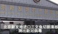 砧板刀具竟然是隱藏“殺手”？是時候擁有一個“它”了