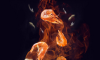 暢爽沐浴、自在由我，法迪歐爆款電熱水器雙十一好價(jià)提前享