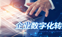 中企高呈：企業(yè)數(shù)字化不是目的，轉(zhuǎn)型才是！