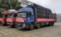 聯(lián)塑集團(tuán)踐行企業(yè)社會(huì)責(zé)任，展現(xiàn)大國(guó)品牌擔(dān)當(dāng)
