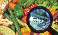 家庭食品安全我們該怎么辦？食材凈化機有效嗎？
