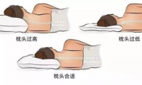 萬眾矚目！DOLOMIA深睡秘密大公開！
