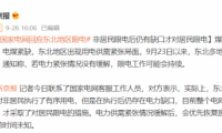 “東北限電”家庭應(yīng)急儲(chǔ)電不能成為空談，正浩相伴有電無患