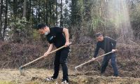 周寧煙草：打響春耕生產(chǎn)“第一仗”，讓拋荒撂荒耕地“重獲新生”