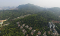 喜報(bào)丨深耕南沙，再添新秀