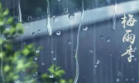 要想梅雨季實現(xiàn)干爽自由，艾芬達電熱毛巾架不可少