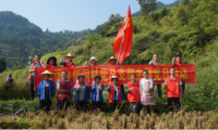 發(fā)揮基層組織戰(zhàn)斗堡壘作用，構(gòu)建生產(chǎn)服務(wù)主力軍
