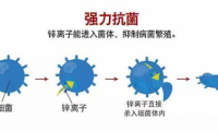 打造綠色健康的家居環(huán)境，首選澳思柏恩鋅效抗菌板