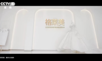 格萊美助力體育賽事|將體育精神注入品牌文化，為品牌賦能