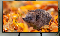TCL C11G Pro換代首選？Mini LED真香神機，你值得擁有