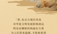 美涂士藝術(shù)漆：如果色彩有溫度，最暖之黃為你守候