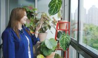 范湉湉的“花花世界”，藝術(shù)巖板「繁花」與冠珠韶華「南山蘆花」搭配亮了