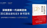 深維度戰(zhàn)略咨詢：從29億到100億，企業(yè)做對(duì)了什么？