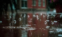 千年舟石墨烯黑金板無懼梅雨季節(jié)，讓家依然純凈清新