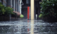 舟乘智木·不染潮時丨誰說躲不開梅雨煩惱，有他們，無懼潮濕！