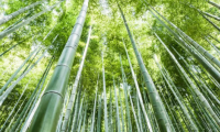 超高防潮丨性能與美學(xué)兼具，這張好板更懂健康生活
