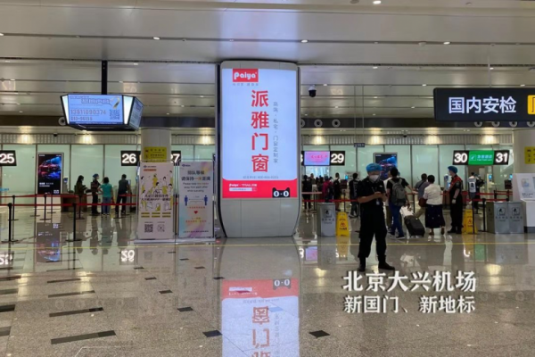 門窗十大品牌派雅門窗：奮斗的2020，一起翱翔！