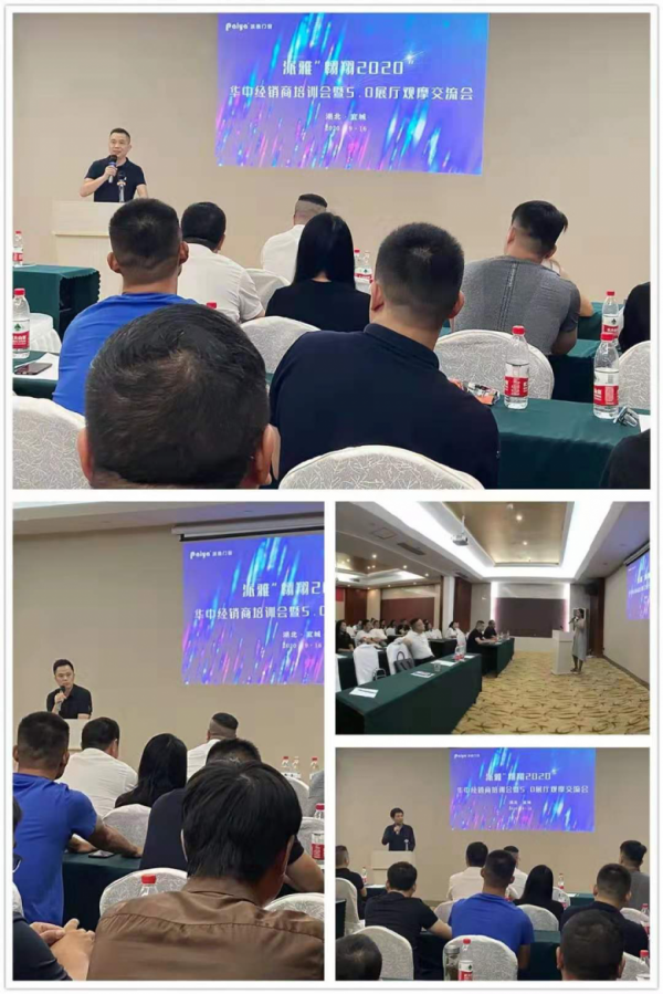 門窗十大品牌派雅門窗：奮斗的2020，一起翱翔！