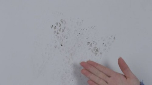 墻面污漬克星——德國赫威都肯防污涂料