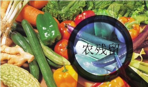 家庭食品安全我們?cè)撛趺崔k？食材凈化機(jī)有效嗎？