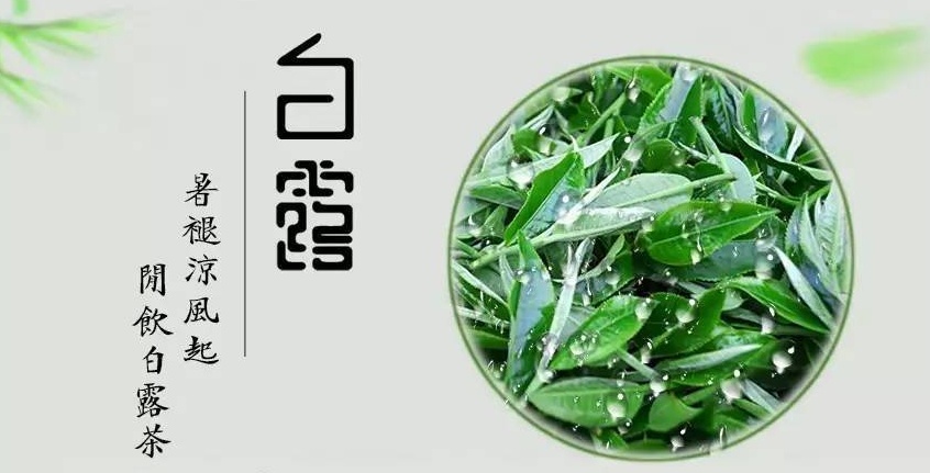 金秋好物大賞：白露為霜的季節(jié)，怎么能少得了碧然德濾水壺