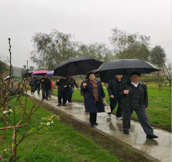 農(nóng)博搭臺為引領 科技人才創(chuàng)實效——王宗全一行赴新津區(qū)調(diào)研指導老科協(xié)工作