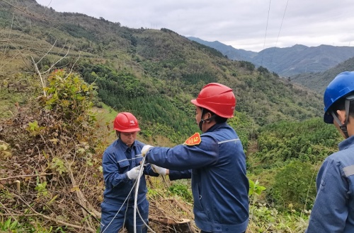 田林供電公司：戰(zhàn)疫情 我們在行動