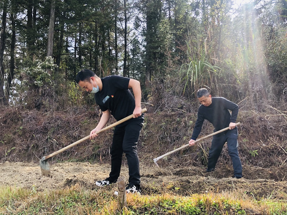 周寧煙草：打響春耕生產(chǎn)“第一仗”，讓拋荒撂荒耕地“重獲新生”