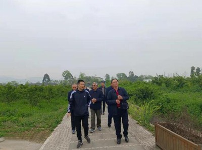 落實(shí)兩會精神 助力鄉(xiāng)村振興——龍泉驛區(qū)老科協(xié)到科技助農(nóng)示范點(diǎn)調(diào)研