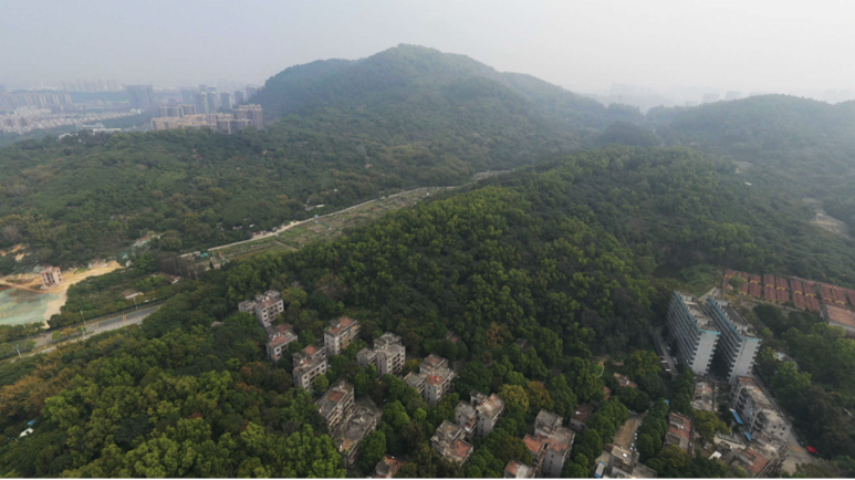 喜報(bào)丨深耕南沙，再添新秀