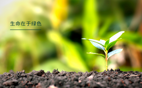 發(fā)力雙碳，韓氏健康板材成為碳足跡國(guó)家創(chuàng)新聯(lián)盟發(fā)起單位