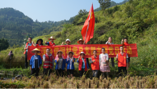 發(fā)揮基層組織戰(zhàn)斗堡壘作用，構(gòu)建生產(chǎn)服務(wù)主力軍