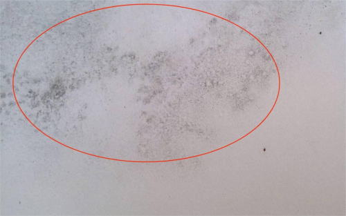 美巢易呱平膩子粉，耐水防潮更高環(huán)保，拒絕墻面潮濕發(fā)霉