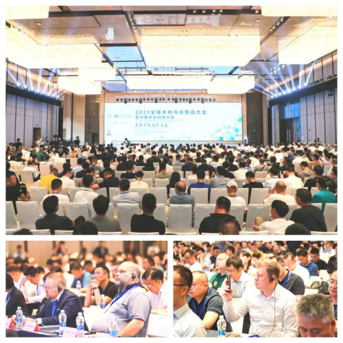 2023全球木材與木制品大會(huì)|千年舟榮獲科技雙殊榮，引領(lǐng)行業(yè)綠色低碳轉(zhuǎn)型
