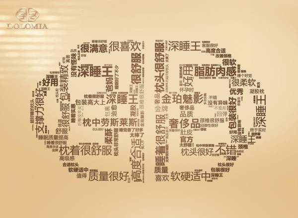 高階深睡枕的代表DOLOMIA，貫穿精密技藝與手工創(chuàng)意，成為高收入群體心儀之選