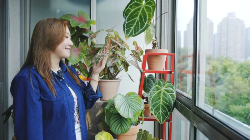 范湉湉的“花花世界”，藝術(shù)巖板「繁花」與冠珠韶華「南山蘆花」搭配亮了