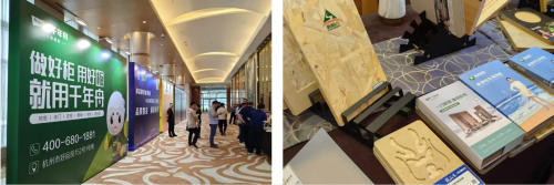 喜報！千年舟榮獲金匠榜「抗菌板十大品牌、匠心板材十大品牌」雙料大獎