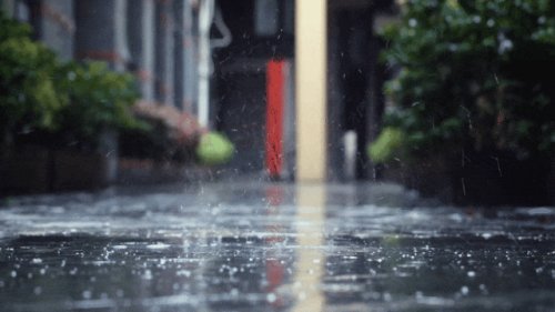 舟乘智木·不染潮時丨誰說躲不開梅雨煩惱，有他們，無懼潮濕！