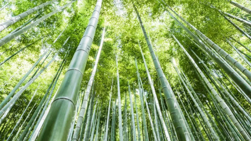 超高防潮丨性能與美學兼具，這張好板更懂健康生活