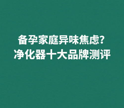 備孕家庭異味焦慮？除甲醛除煙味凈化器十大品牌測(cè)評(píng)