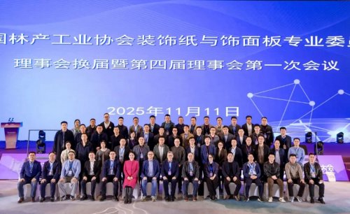 燃爆臨安！2025全球飾面大會(huì)啟幕，千年舟以東方美學(xué)定義家居新范式